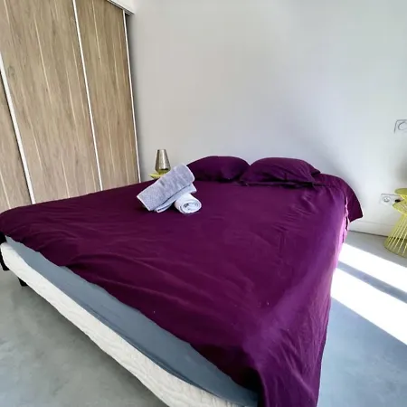 Appartamento Bel Ecrin T2 35m2 Gare/centre *